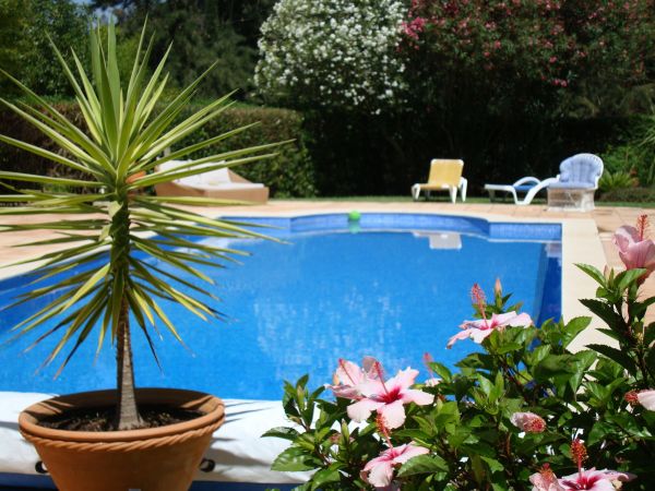 Cost of Pool Terrace Renovation in Grand Blanc